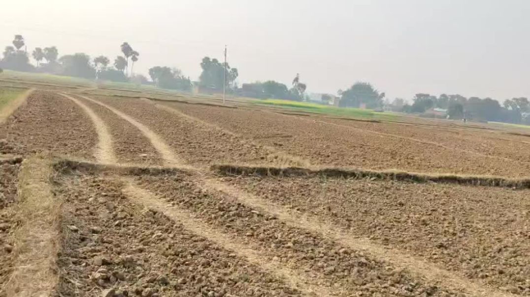 ⁣VN20251211_090604 majedar video