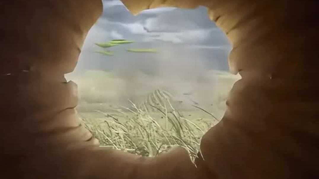 facebook_1765161630387