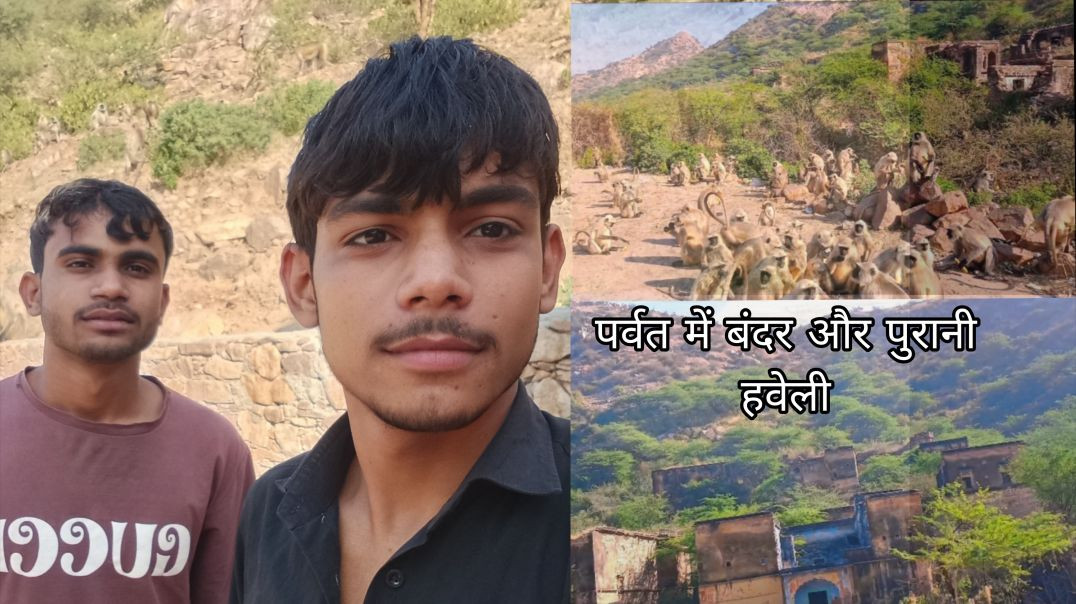⁣पर्वत में बंदर और पुरानी  हवेली | Parvat mein bandar and purani haveli mile , My first vlog