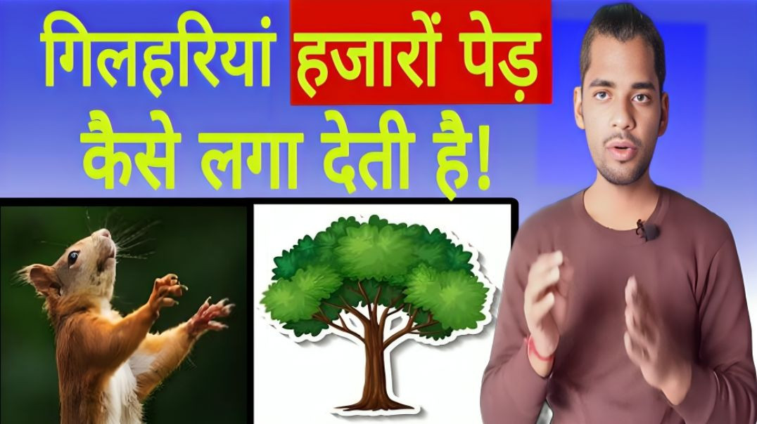 ⁣गिलहरी 1000 पेड़ कैसे लगा देती है | Squirrel | Tree | Gilhari | AC Prashant