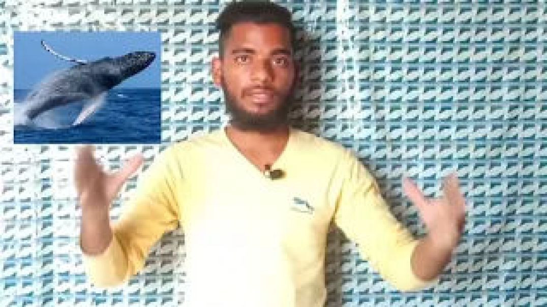 ⁣सबसे तेज कोन चिल्लाता है | sabse tej kon chillata hai | ac prashant