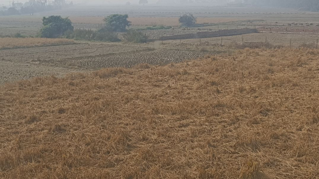 ⁣Zamania ganga ghat