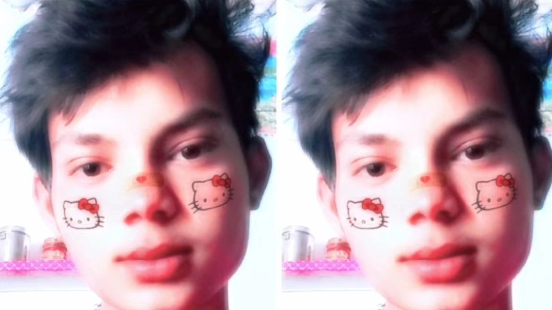 FB_VID_296330270961518124