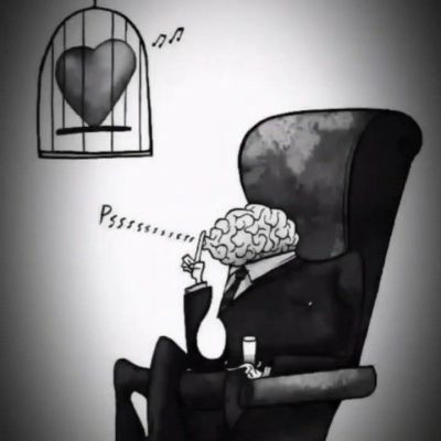 103249331660927749921 