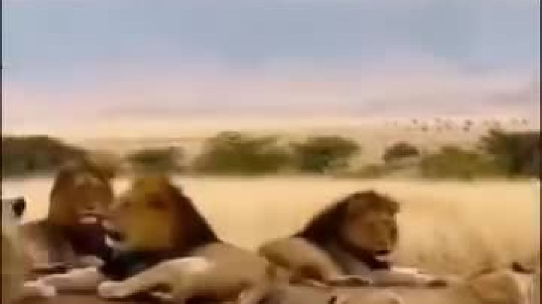 %E3%81%94%E5%AD%98%E7%9F%A5%E3%81%A7%E3%81%99%E3%81%8B%EF%BC%9F%E6%97%A5%E6%9C%AC%E3%81%A7%E3%81%AF%