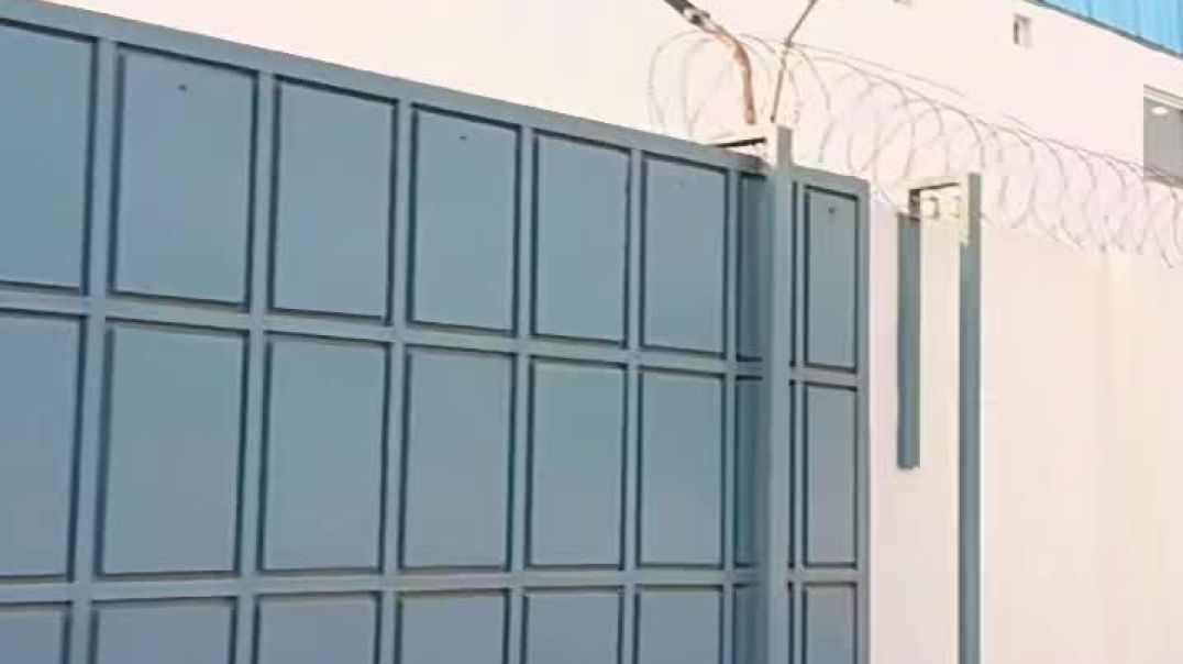 VID_20251104_020231_600