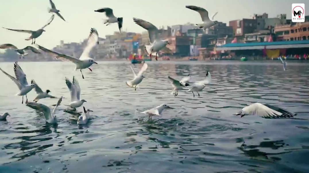 ⁣वृन्दावन जाउंगी सखी ना लौट के जाउंगी _ Vrindavan Jaungi _ Krishna Bhajan 2024 _ राध(1080P_H