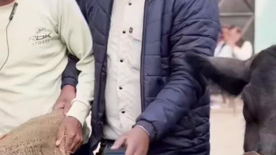 ⁣गाजर का हलवा 🤣😂 #comedy