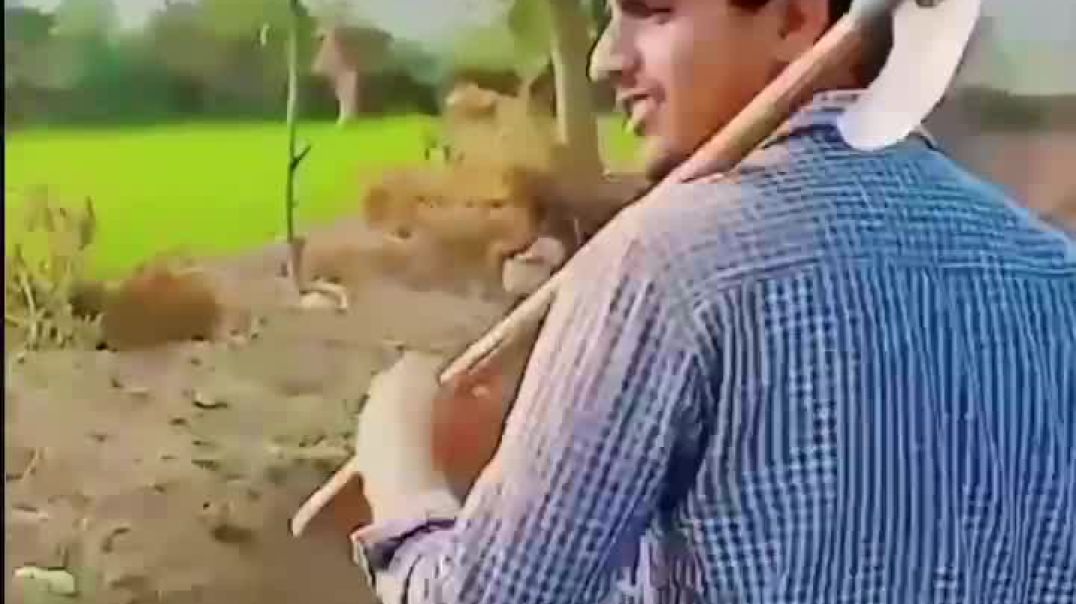 VID_63380328_023133_215