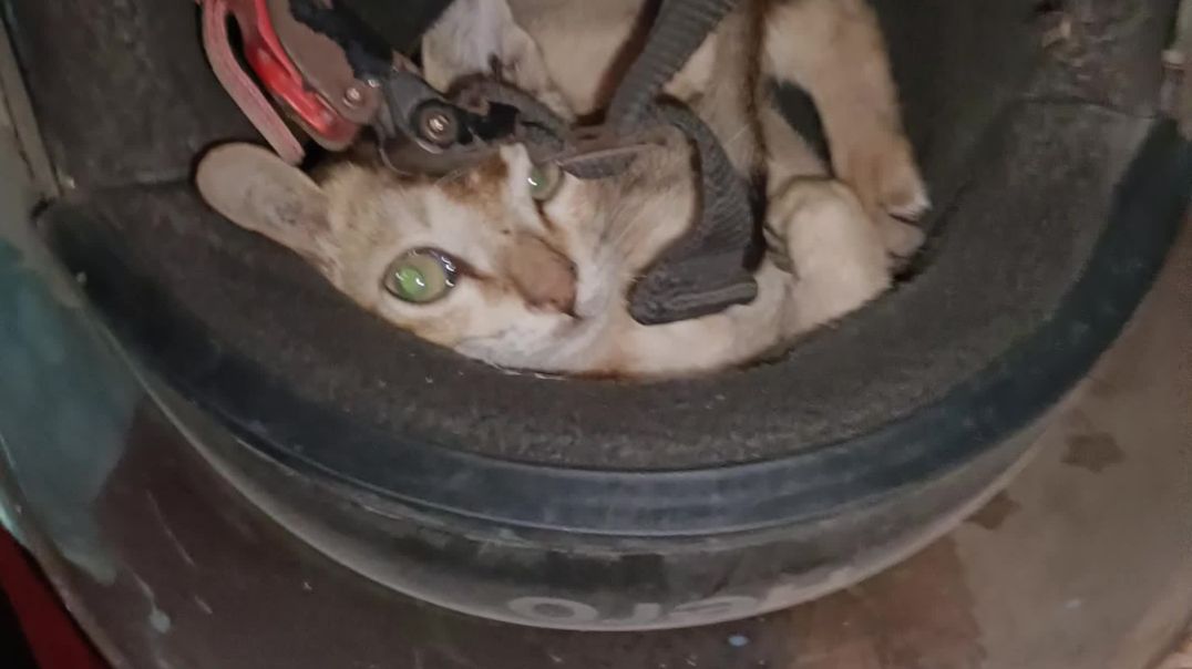 ⁣Comedy video funny comedy video #viralvideo