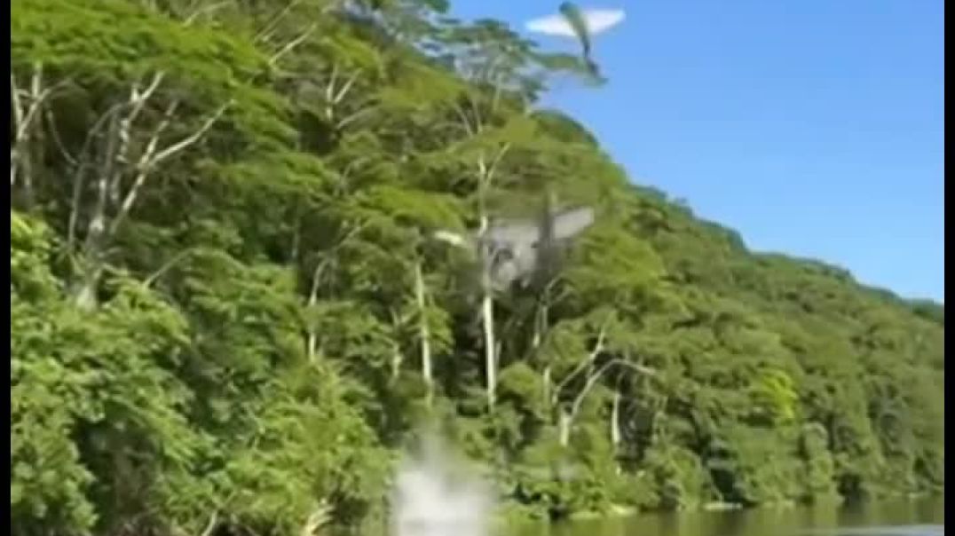 ⁣#viral #vlog #viralvideo