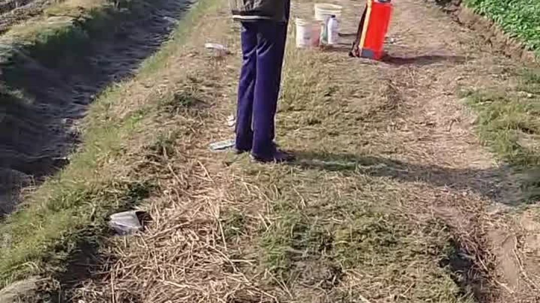 VID_20251206_202810_882