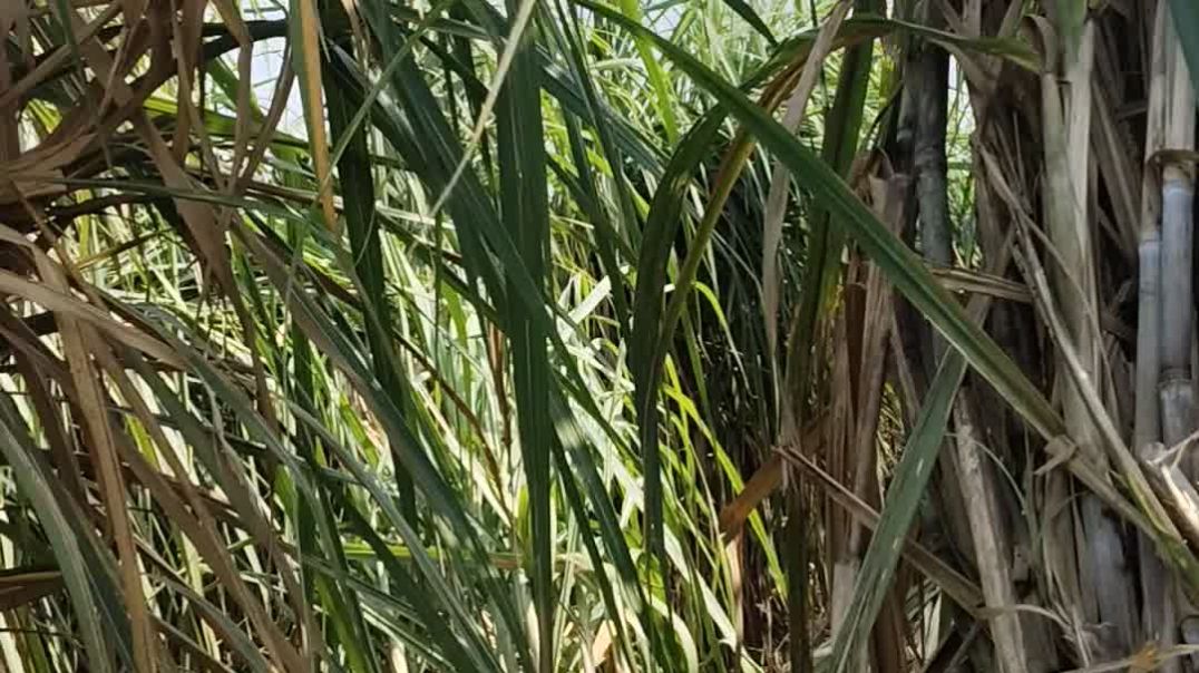 video_20251010_120858