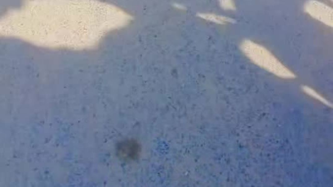 ⁣Snapchat-774784118