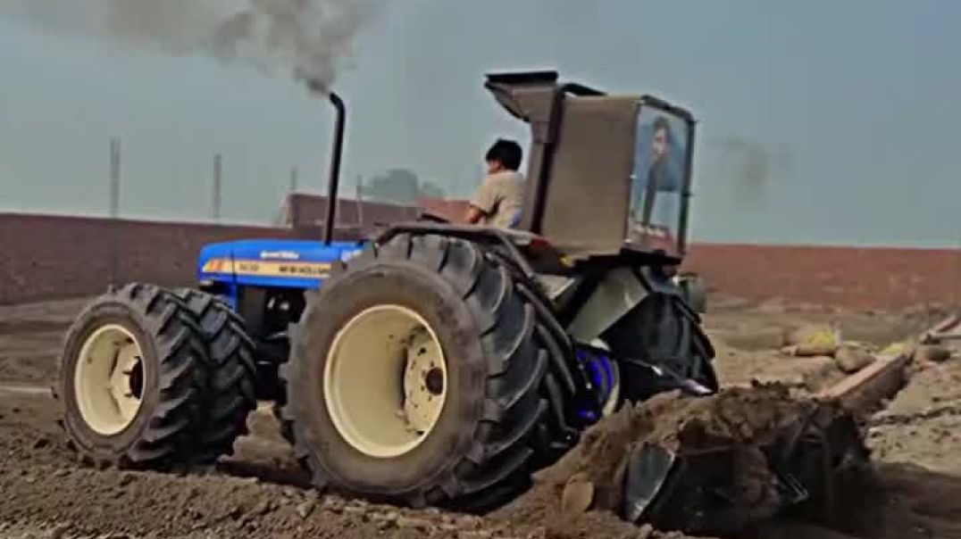 ⁣Chouhan king viral video shorts Chouhan king 🤴 ♥️ 🙌