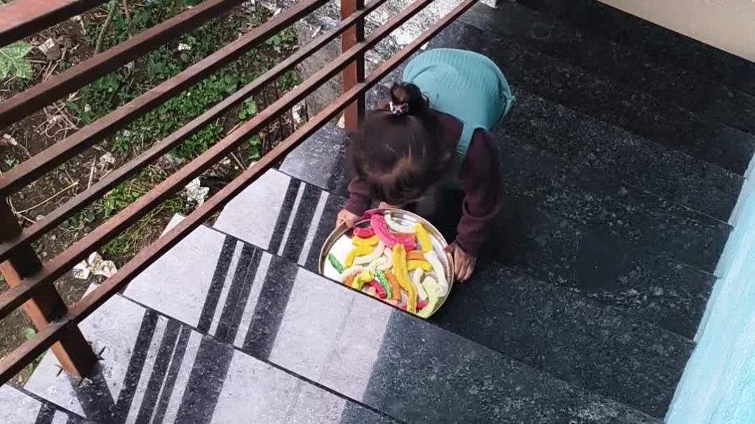 video_20251121_071504