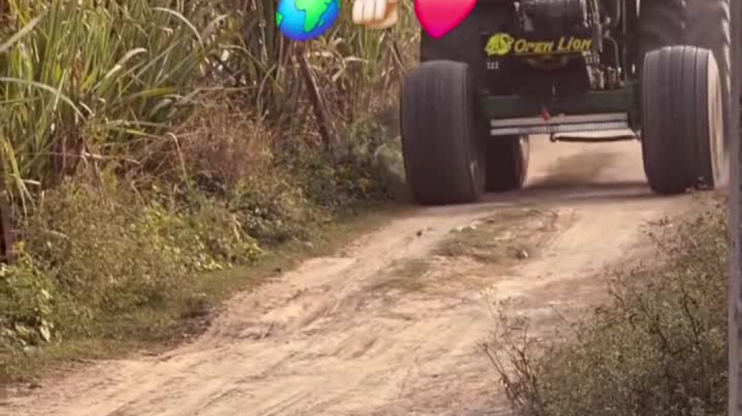 ⁣Chouhan king viral video shorts Chouhan king