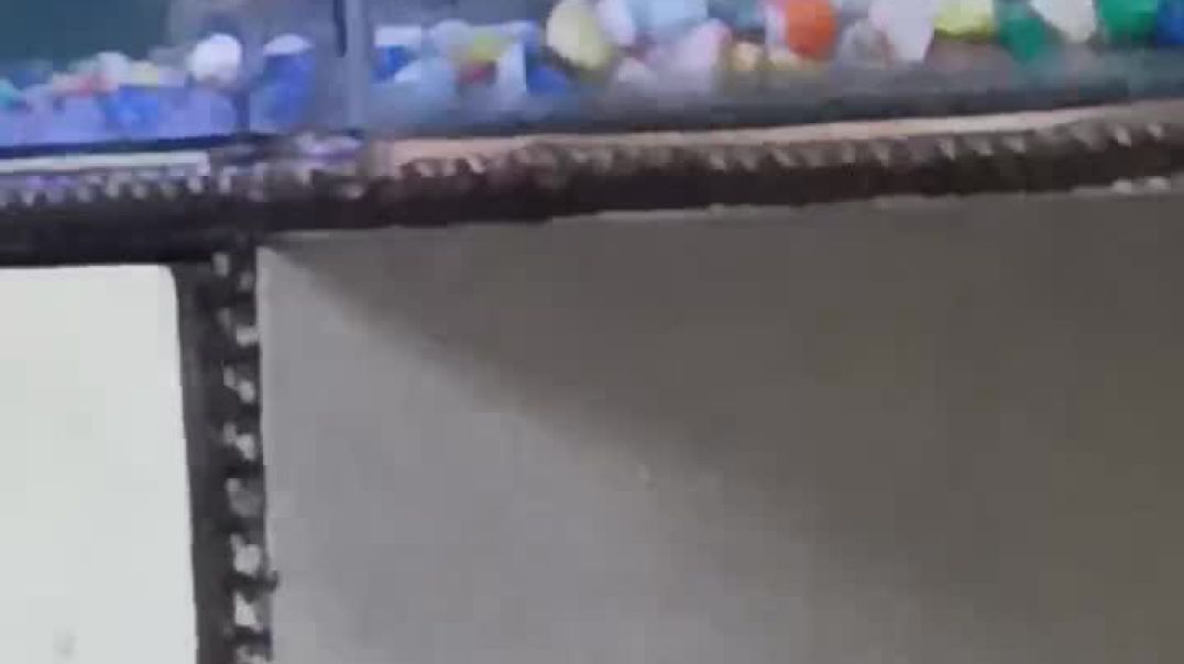 ⁣Machhli #machhli #jal ki #rani #short #viralvideo