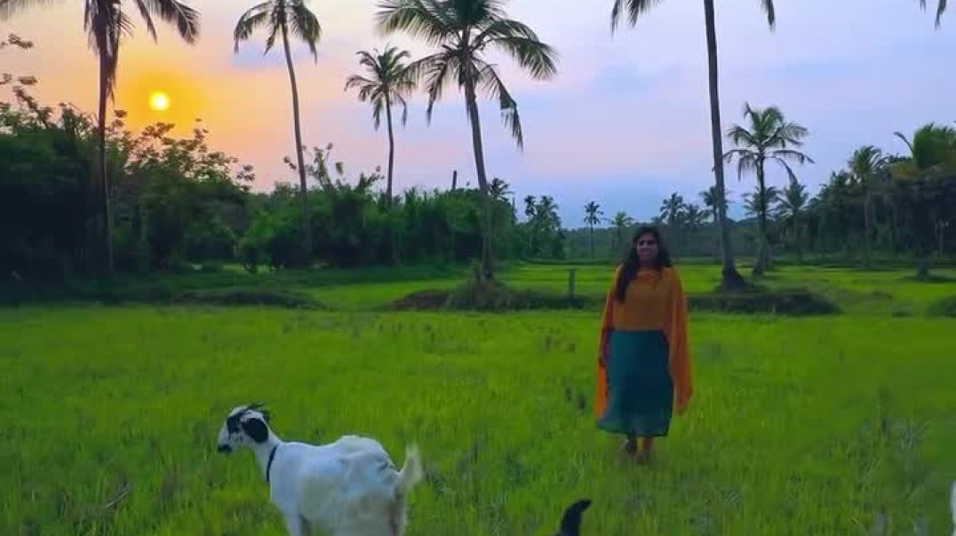 ⁣Villages_of_kerala__#village_#palakkad_#malappuram_#malyalam_#vintage