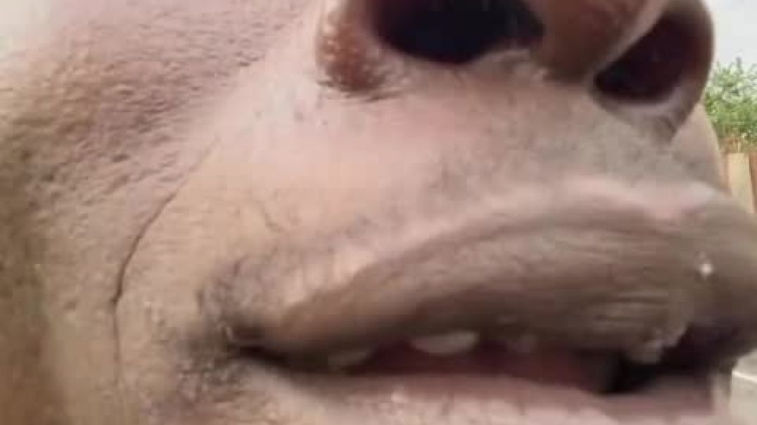 ⁣VID-20251127-WA0002