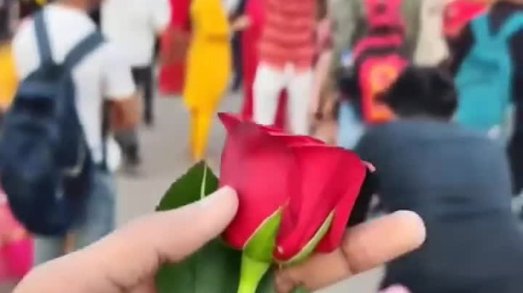 khatu_shyam_reels_instagram_viral_youtubeshorts_whatsappstatus_shorts_tseries_trending_720p