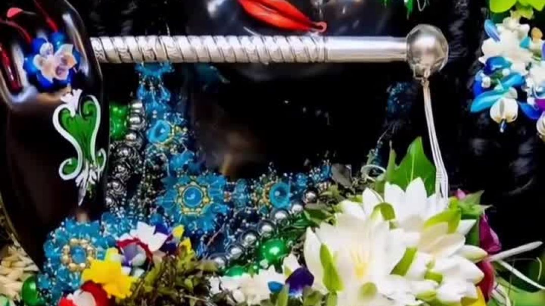 VID_20251121_081737_845