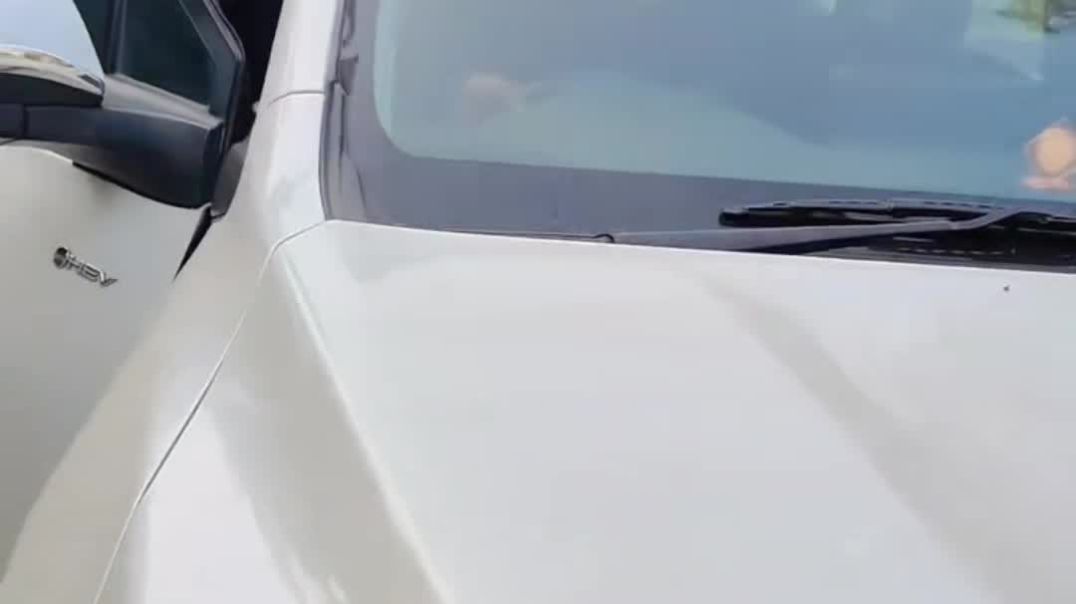 VID_20251213_233509_463