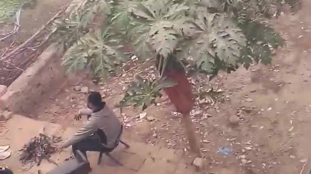 ⁣14_दिसंबर_2025(720p)