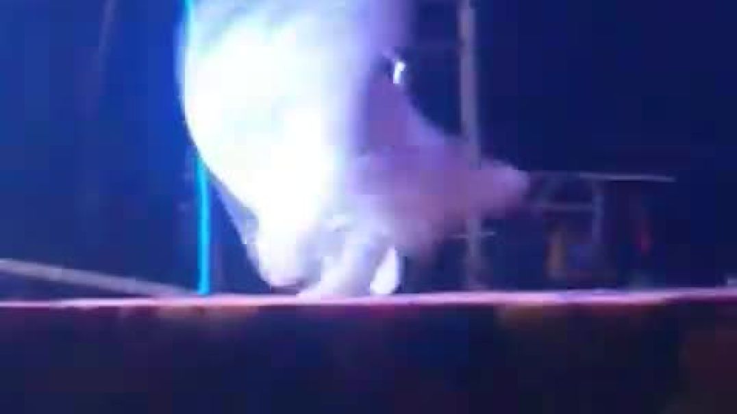 ⁣Meri javani Kisko milegi