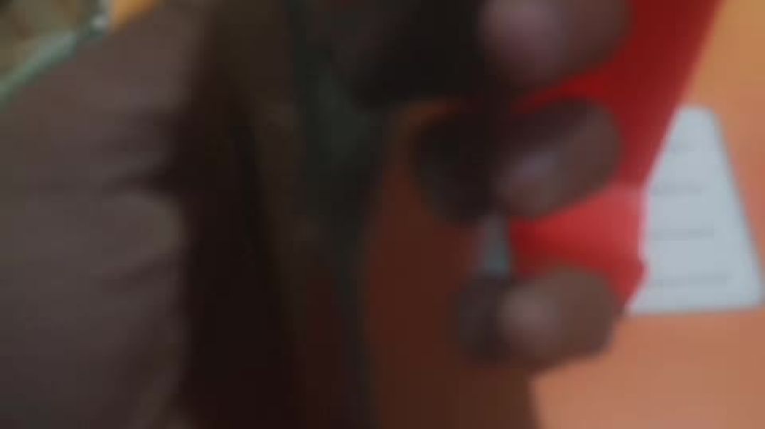 video_20251223_114353