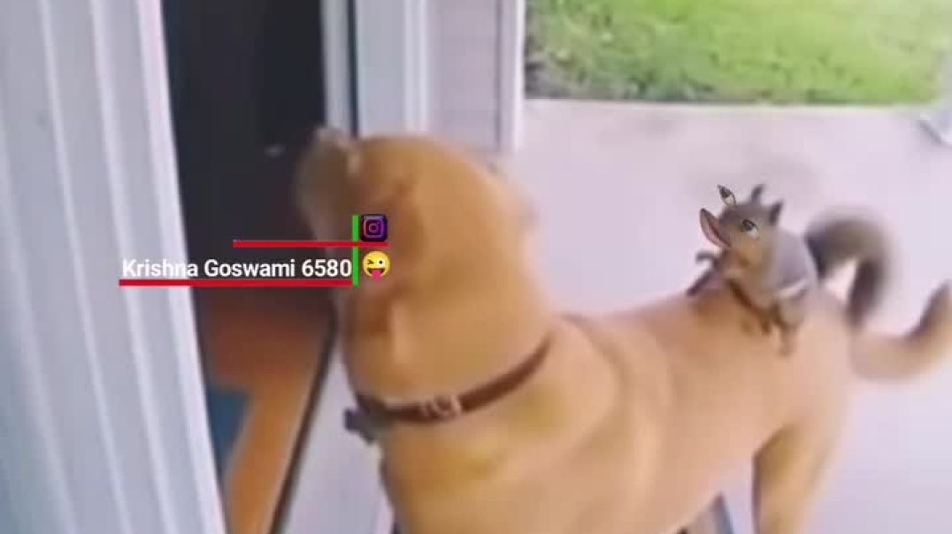 ⁣अम्मा_तू😂😂#viral_#trending_#comedy_#instagram_#reels_#instadaily_#memes