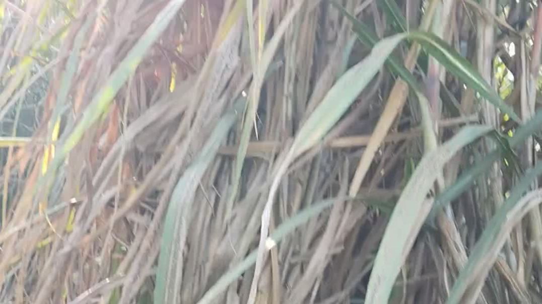 video_20251108_143325