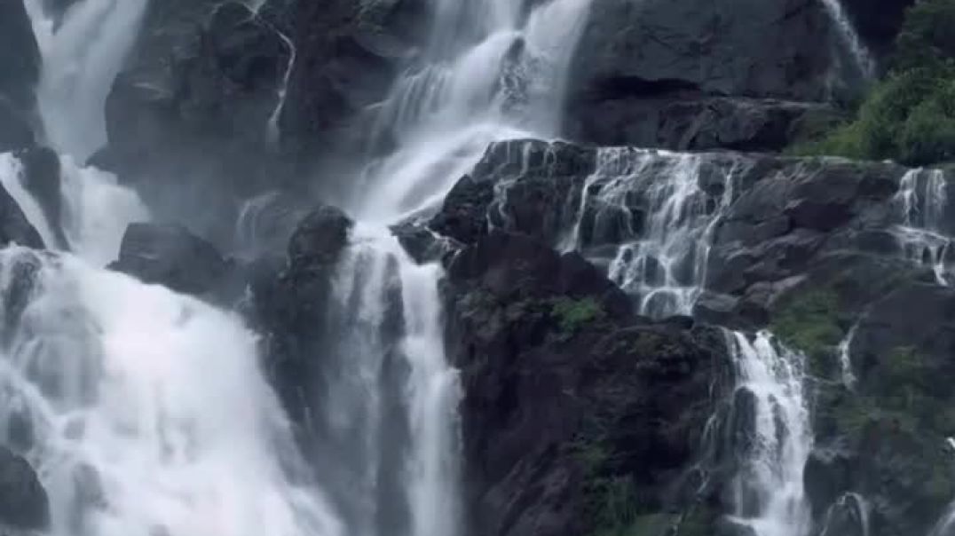 VID_20251119_183810_724