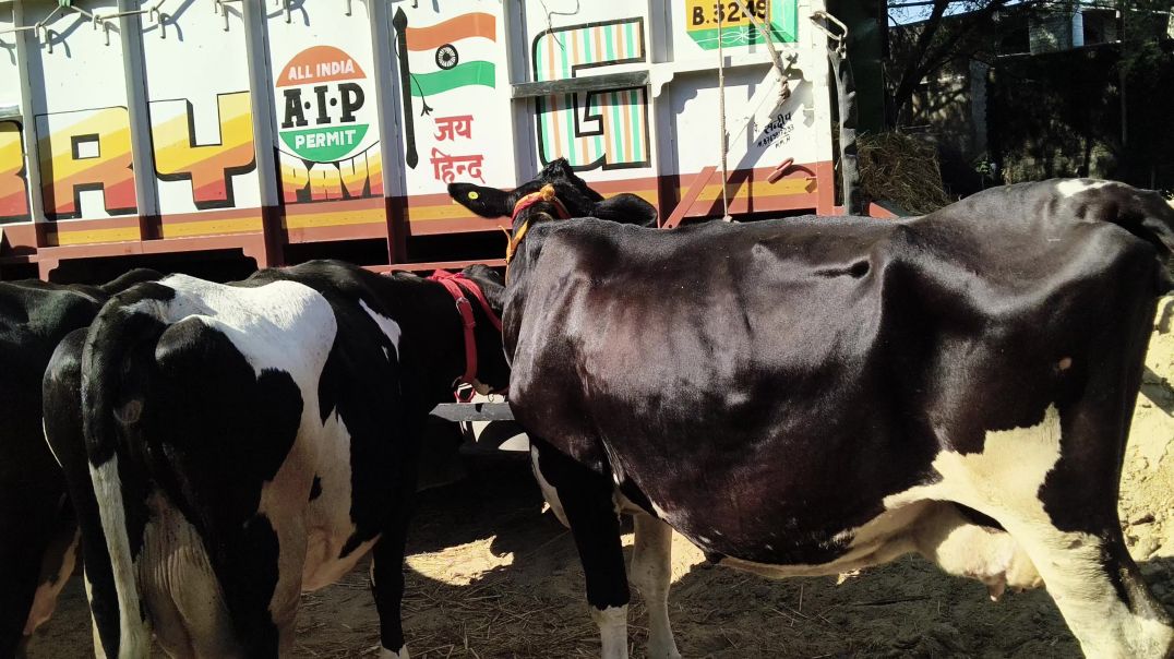 video_20251208_104202