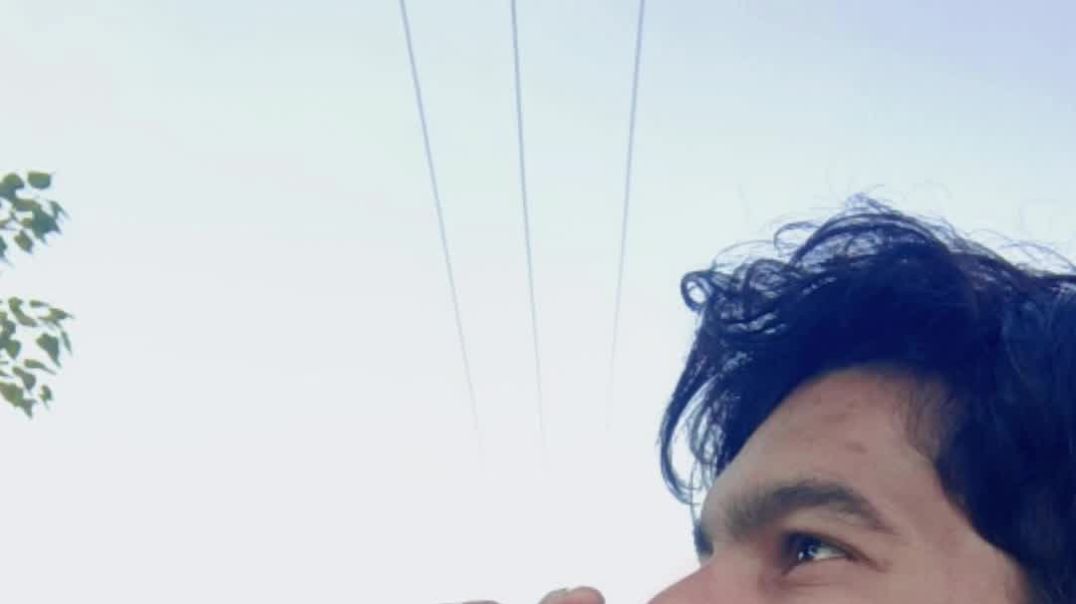 VID_20251102_194907_677