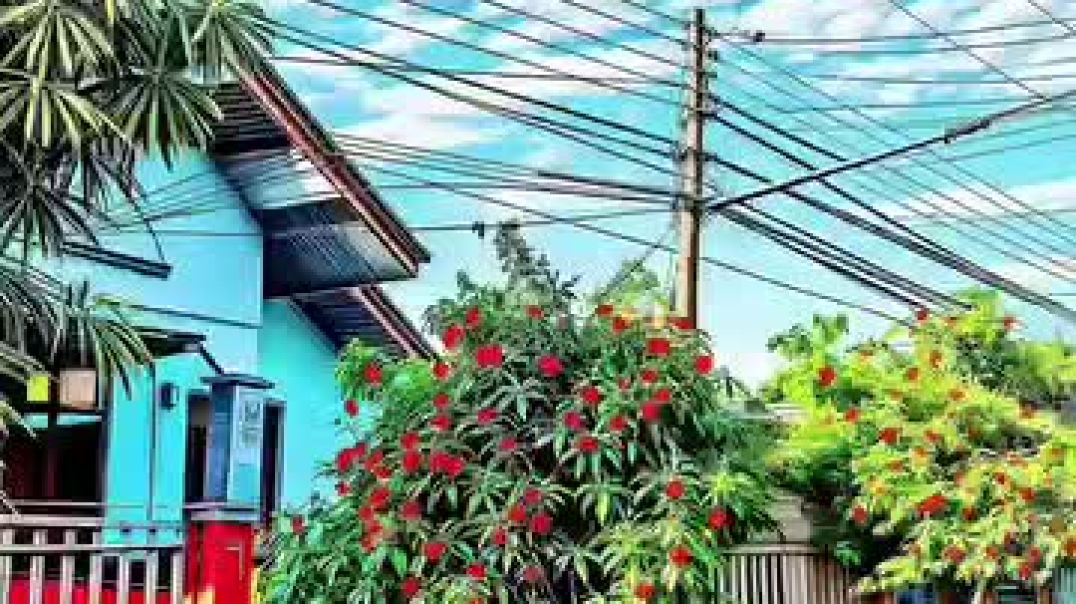 ⁣instagram_1766155478867(360p)