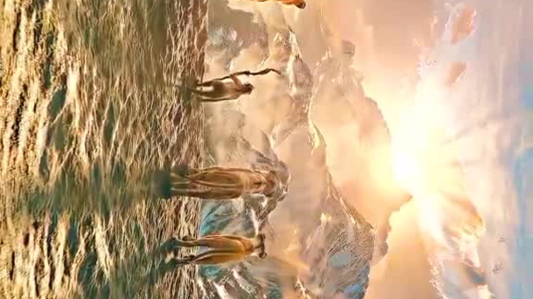 ⁣LION VIDEO 8K #viral #apntube