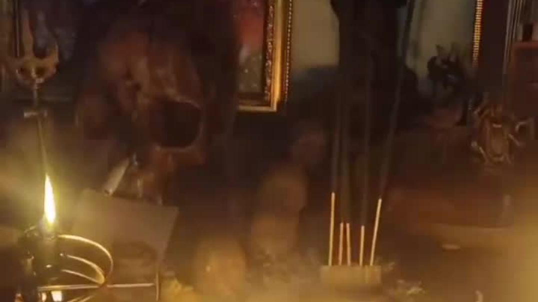 VID_184720125_074344_259