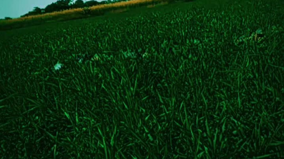 કિસાન કોયતો સબ્સ્ક્રાઇબ કરો યાર