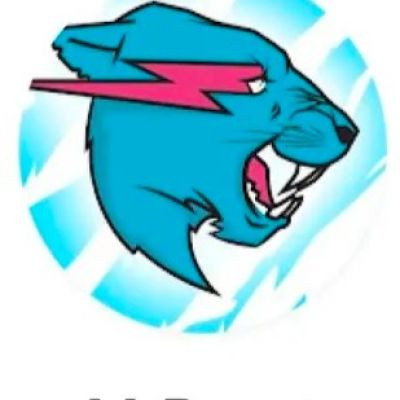 Mr beast