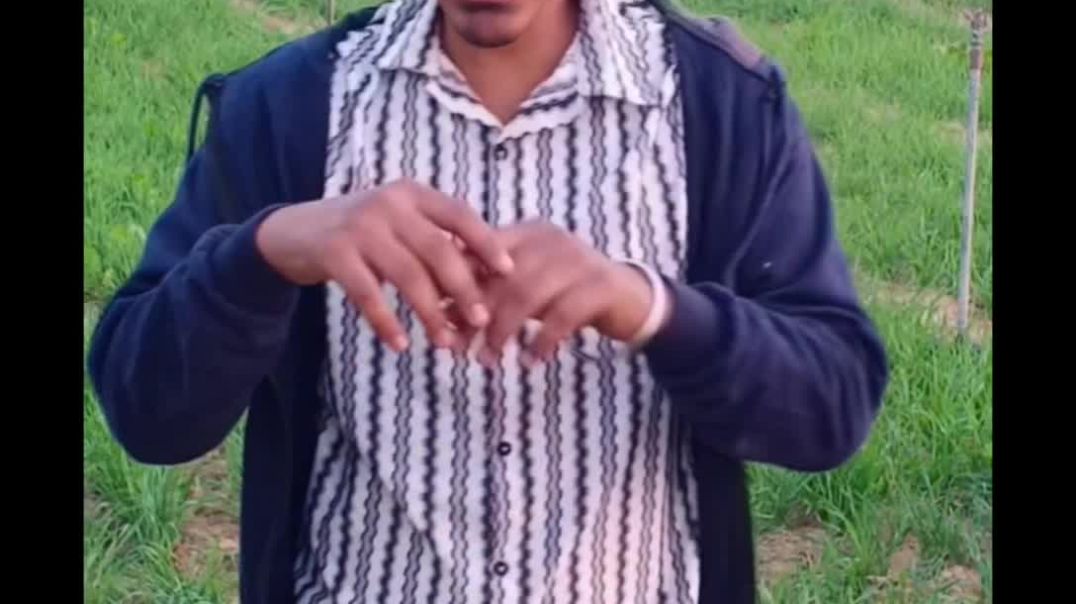 InShot_20251205_180119794