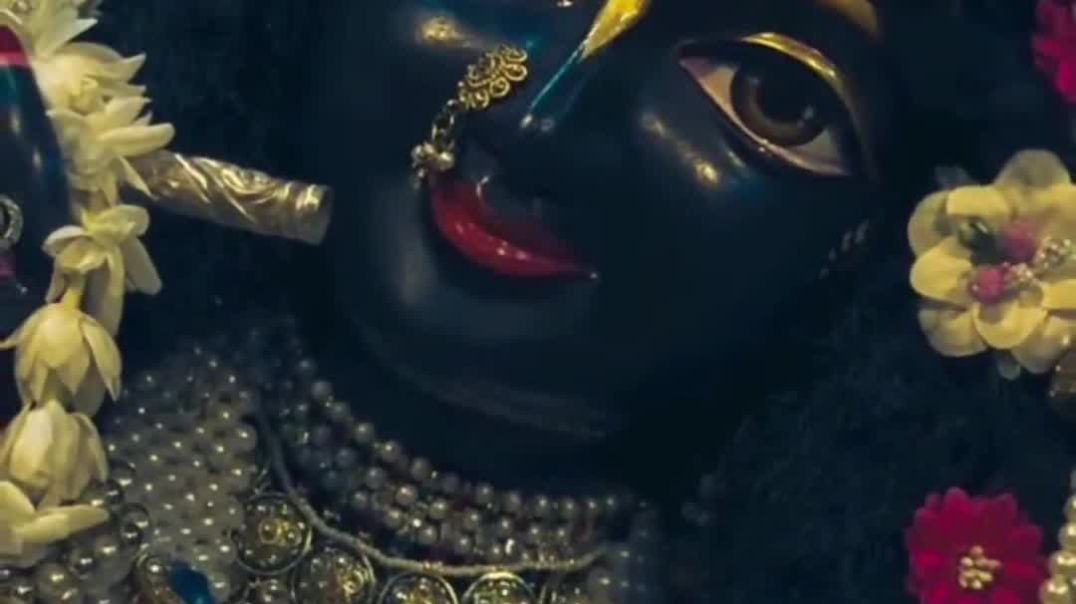 VID_20251210_234620_094