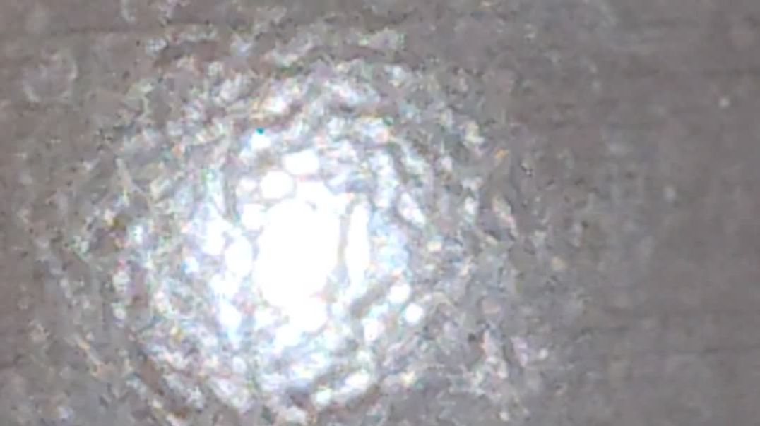 video_20251211_084004