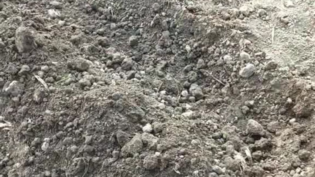 ⁣present our culture