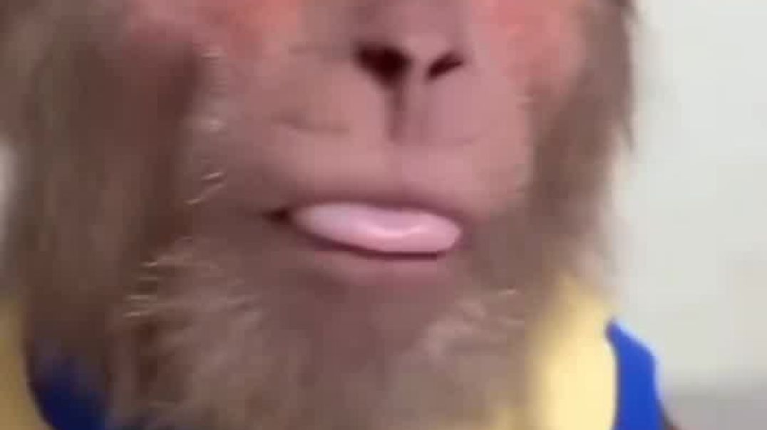 जीने से ज्यादा मरने के फायदे बता दिए__