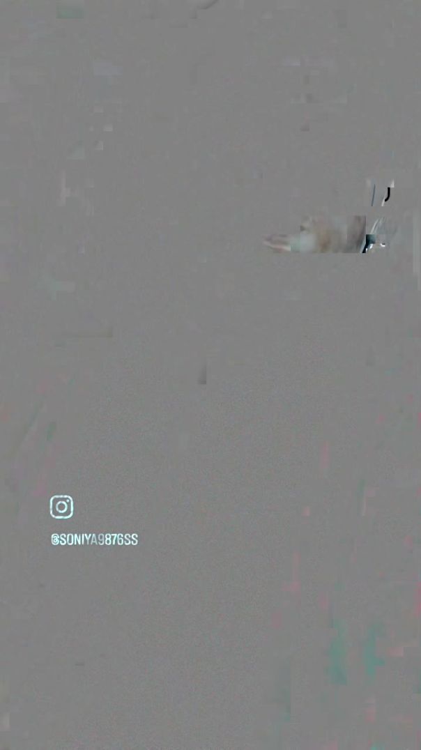 VID_20251206_081957_442