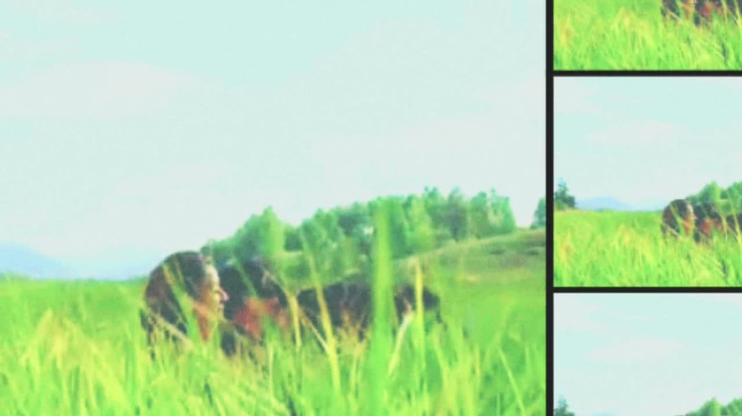 ⁣Ab Tere Dil Mein Hum Aa Gaye !! Kumar Sanu, Alka Yagnik | Akshay Kumar, Madhuri Dixit !!Narendra44