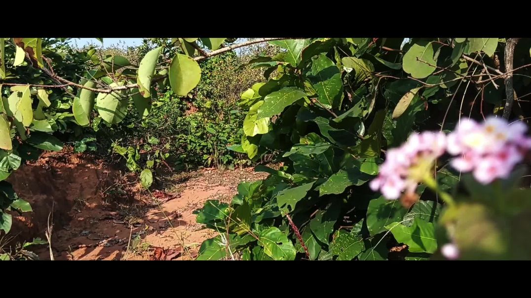 ⁣JAYGrow #Viral #Short #trinding video