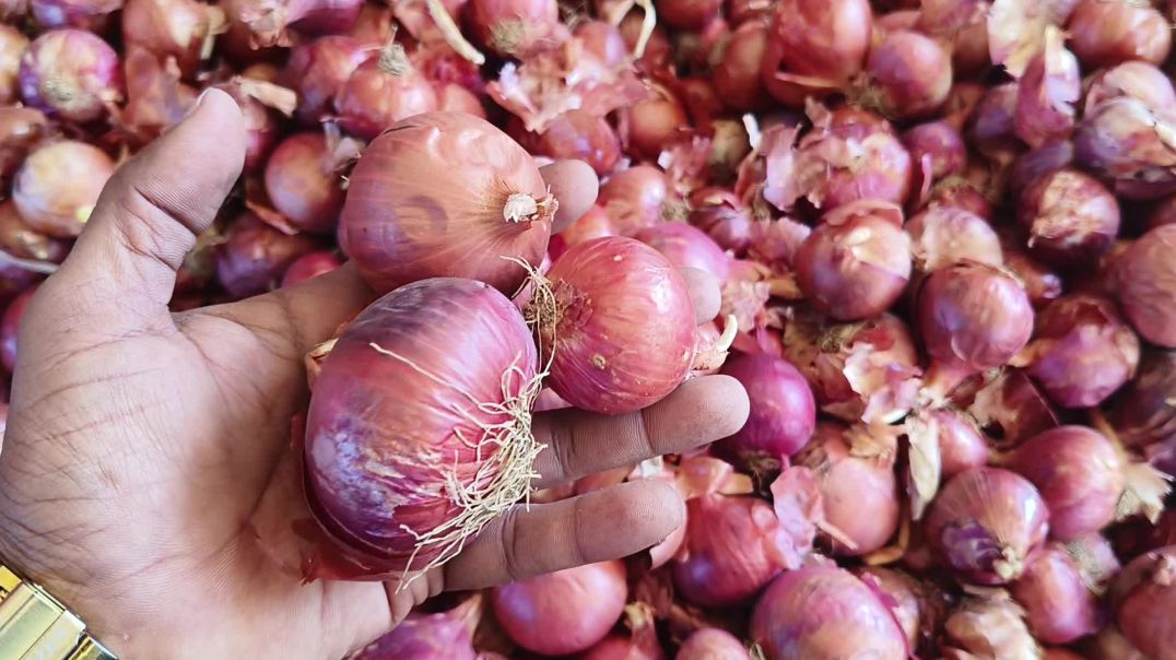 ⁣आज का प्याज मंडी भाव