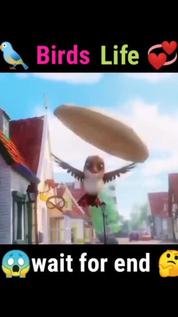 Birds life--_animated movie explained in hindi__shorts _explained(720P_HD)